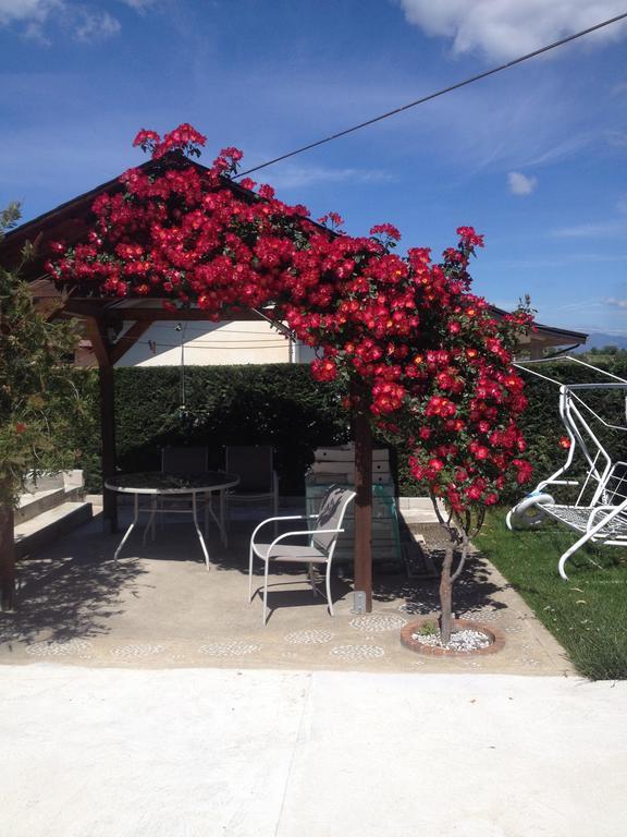 La Quercia Bed & Breakfast Cosenza Luaran gambar